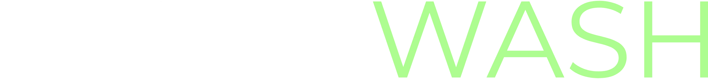 FlashWash process description