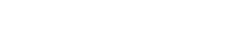 Token distribution chart for liquidity (20%)