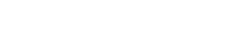 Token distribution chart for presale (40%)